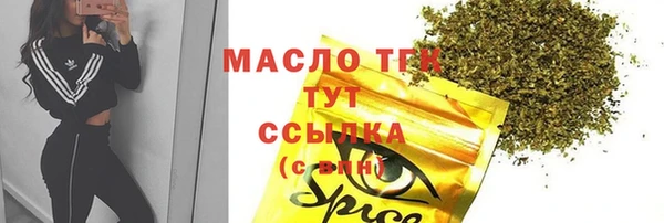 сатива Бородино