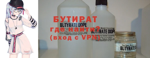 сатива Бородино