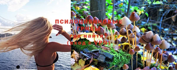МДМА Богородск