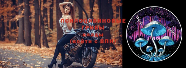 сатива Бородино