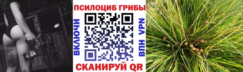 закладки  Мурманск  Галлюциногенные грибы ЛСД 