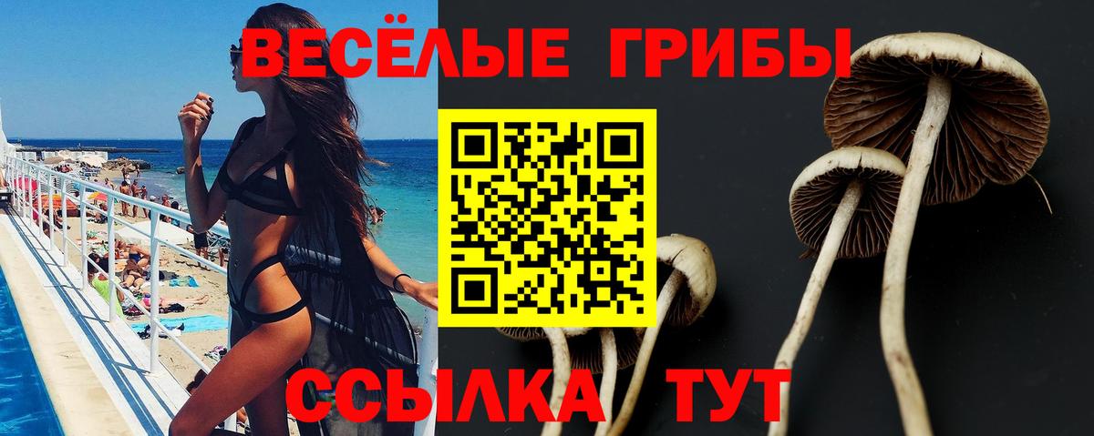 Галлюциногенные грибы Psilocybe  купить наркоту  Галлюциногенные грибы Cubensis  Мурманск  Вход с VPN 